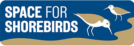 Space for Shorebirds logo