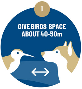 Give Birds Space. About 40-50m