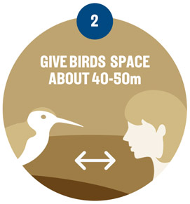 Give birds space. About 40-50m