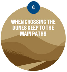 When crossing the dunes, keep to the paths